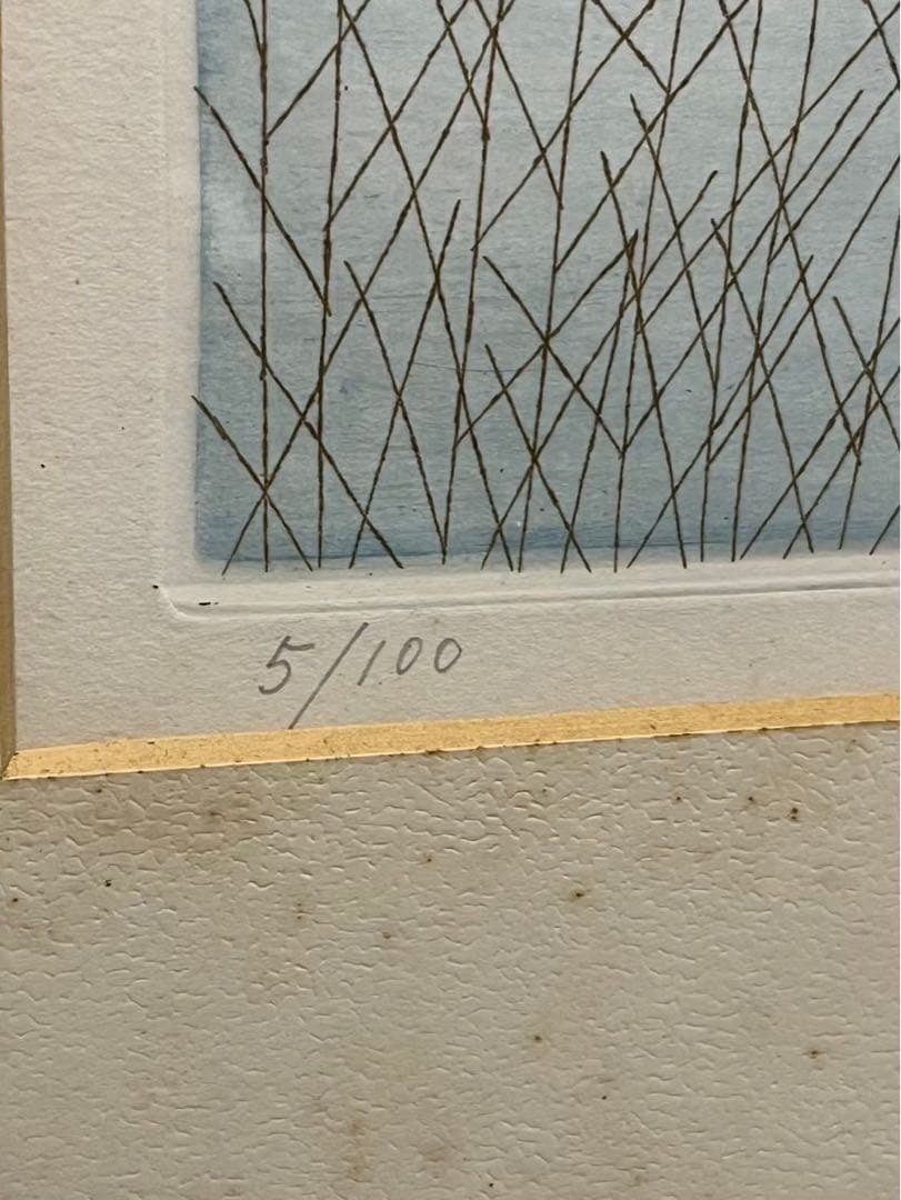 南桂子「少女と馬」カラーエッチング 5/100 額装済 銅 版画 作家 女性