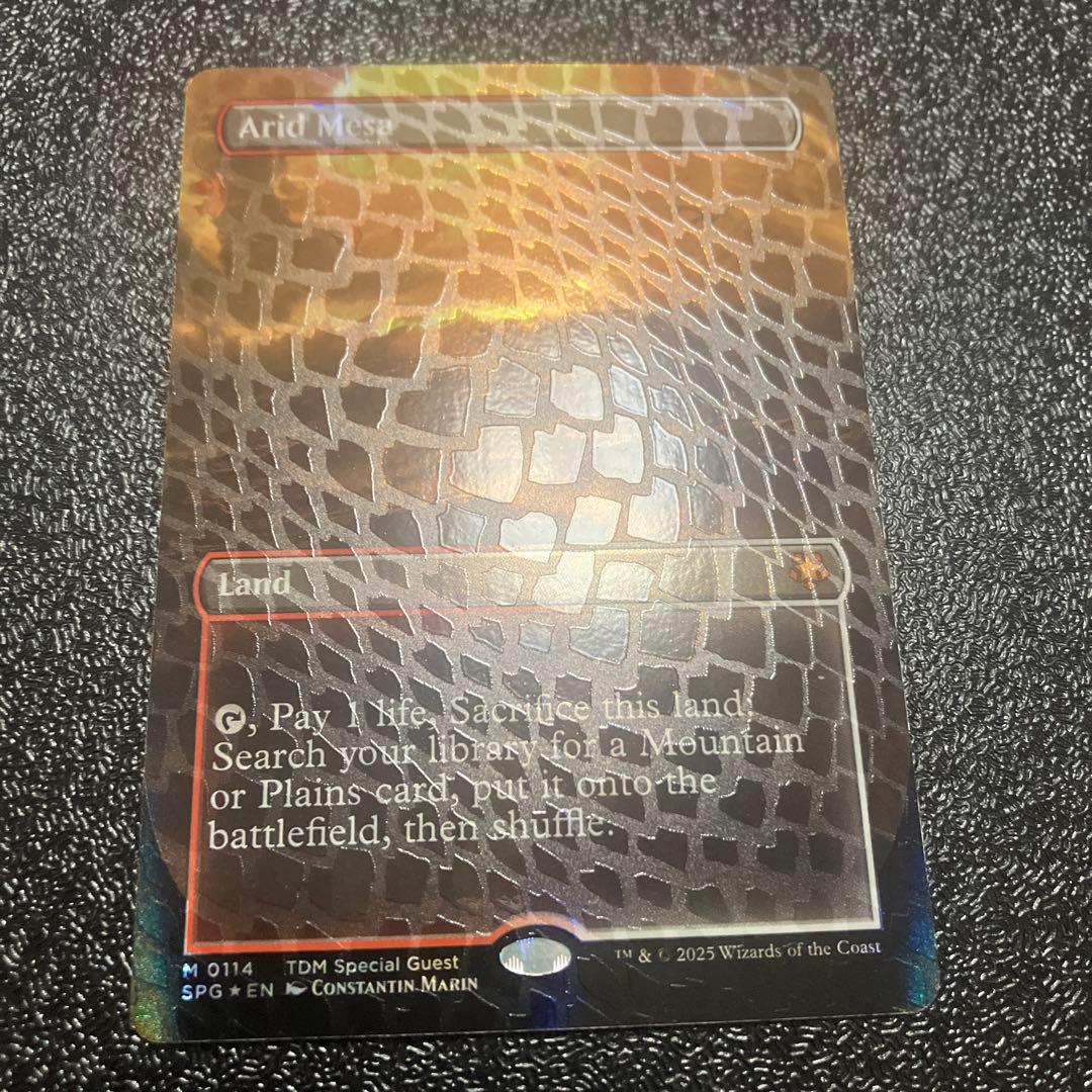 乾燥台地 ドラゴンスケイル foil spg スペシャルゲスト mtg