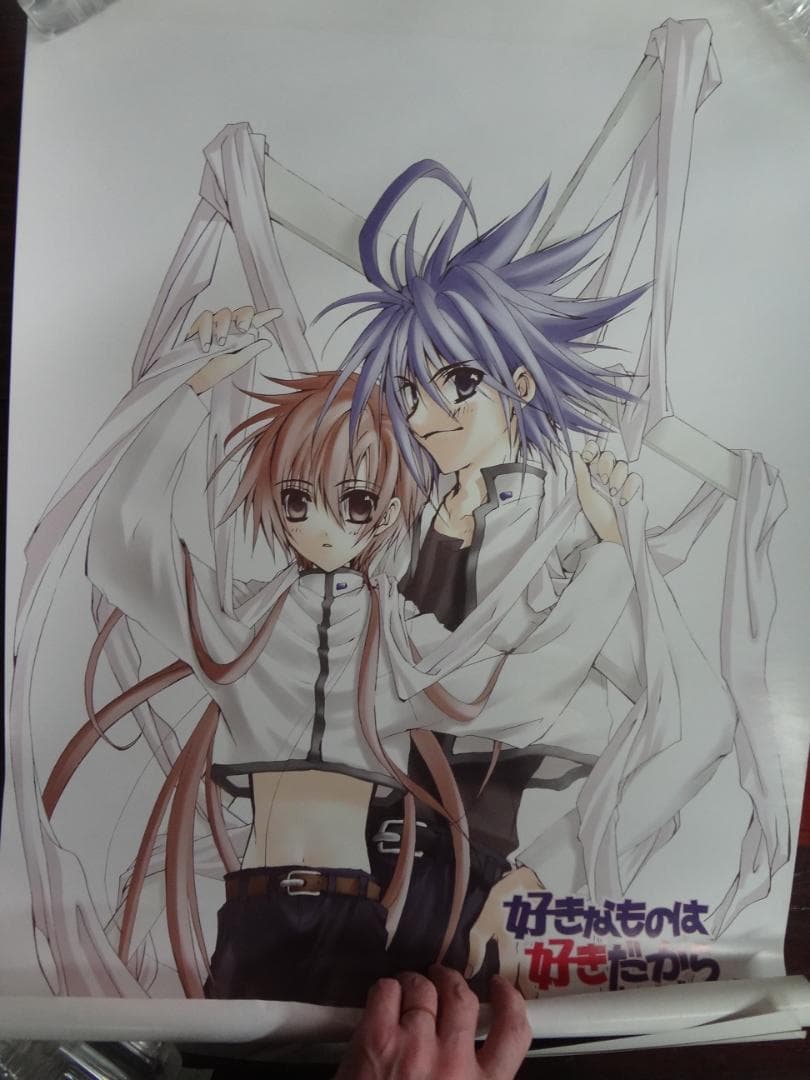 好きなものは好きだからしょうがない!!  入手困難非売品B２サイズポスターセット