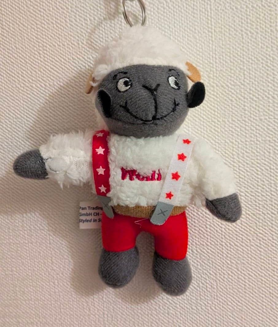 Wolli ウォーリー スイス BTS JUNG KOOK イゲマジャ【残1】