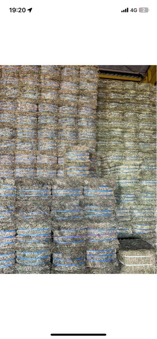 プレミアムチモシー 30kg 1キロ