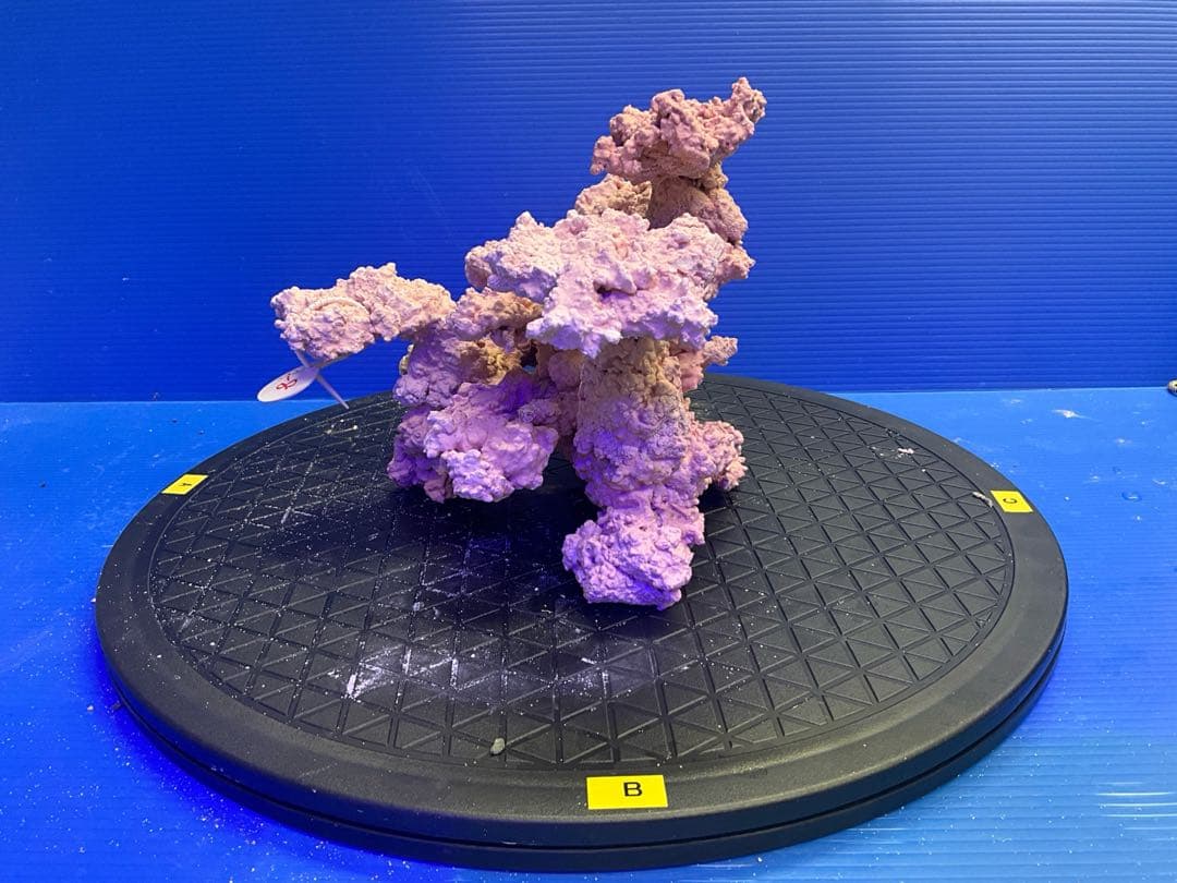 人工ライブロック. No.9-8 無害化処理済