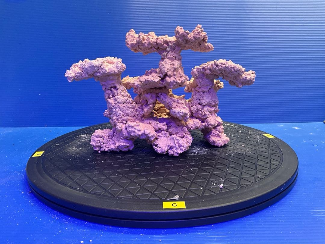 人工ライブロック. No.9-8 無害化処理済