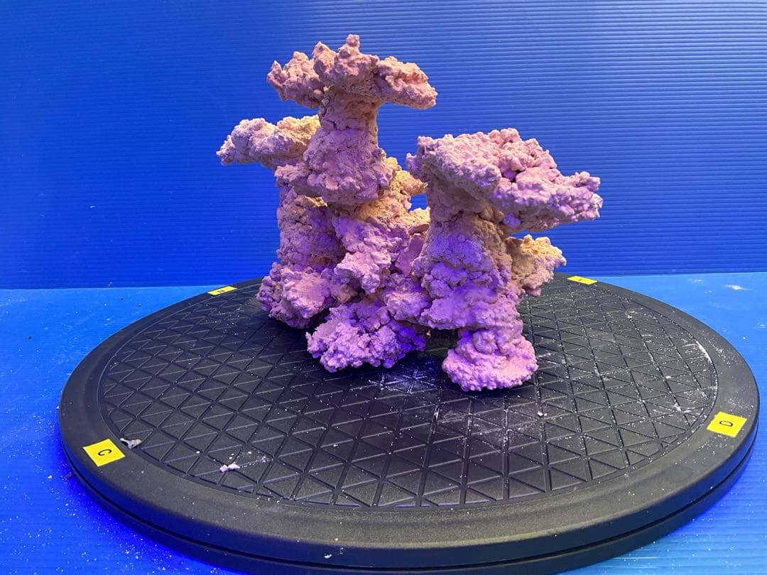 人工ライブロック. No.9-8 無害化処理済