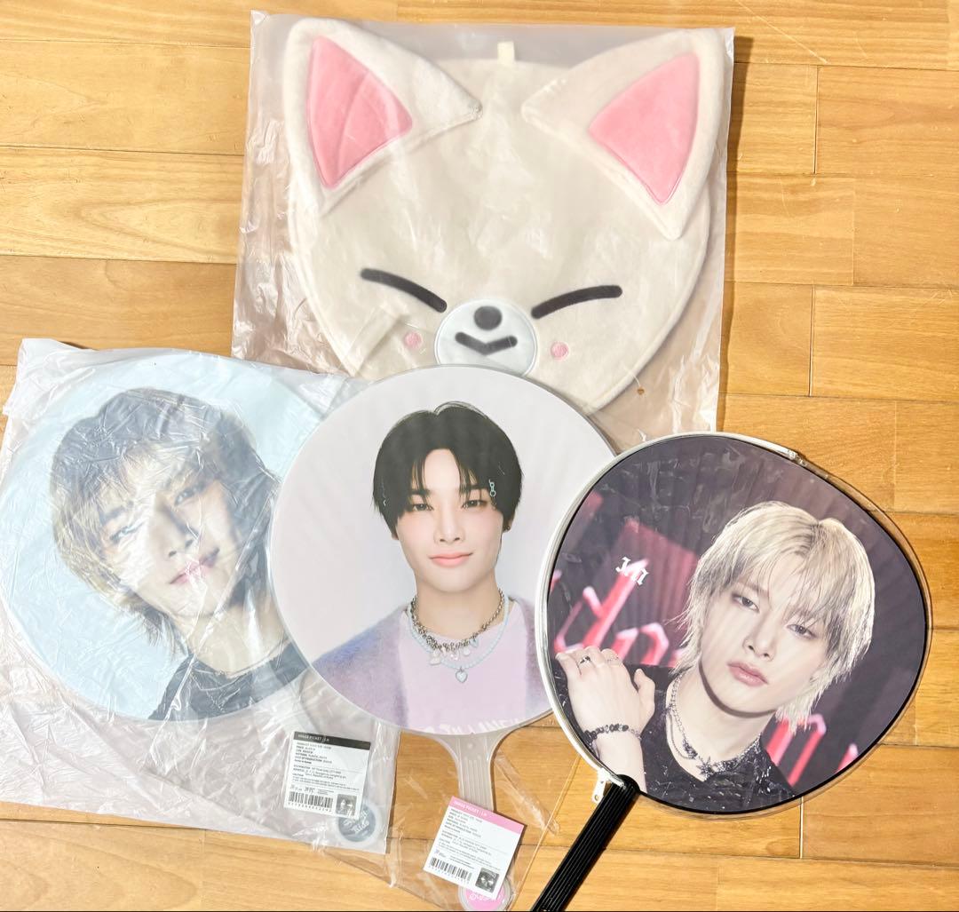 stray kids スキズ　アイエン　フォクシーニー　SKZOO ペンミ