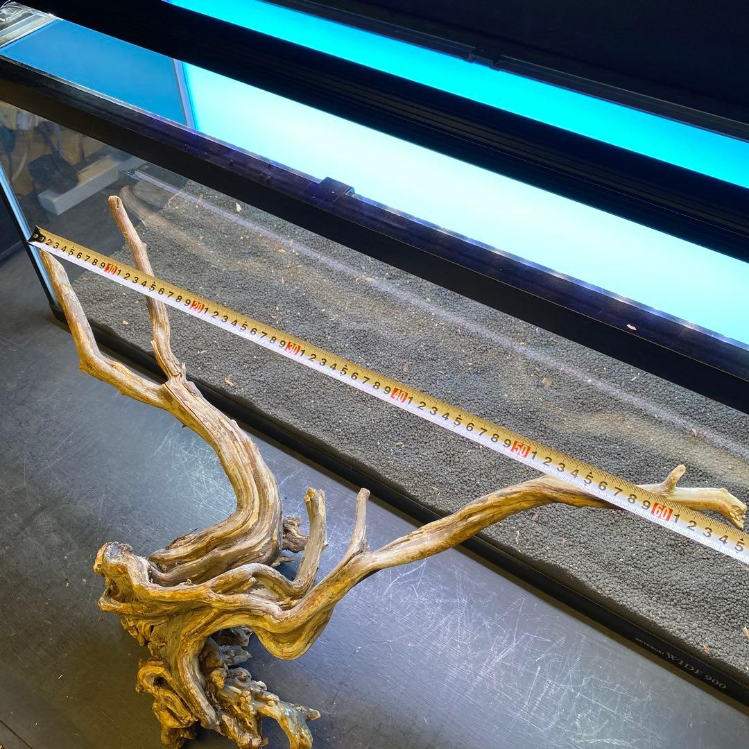 MSRW-6755天然流木1点物 スリムウッド 90cm水槽用 アクアリウム