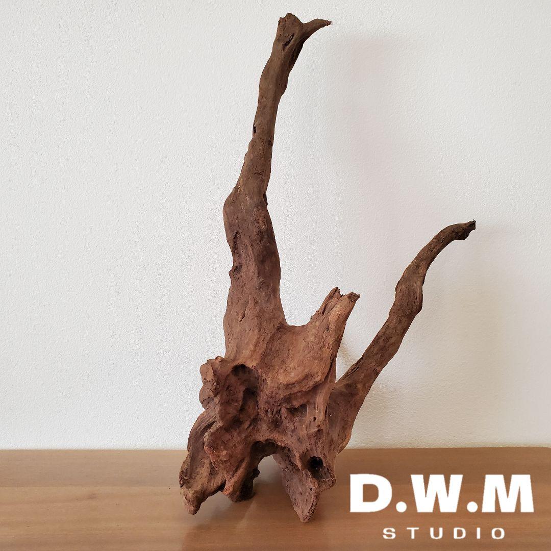 【353】流木　インテリアや爬虫類などに　止まり木　アクアリウム 353】流木 インテリアや爬虫類などに 止まり木 アクアリウム 【公式通販】