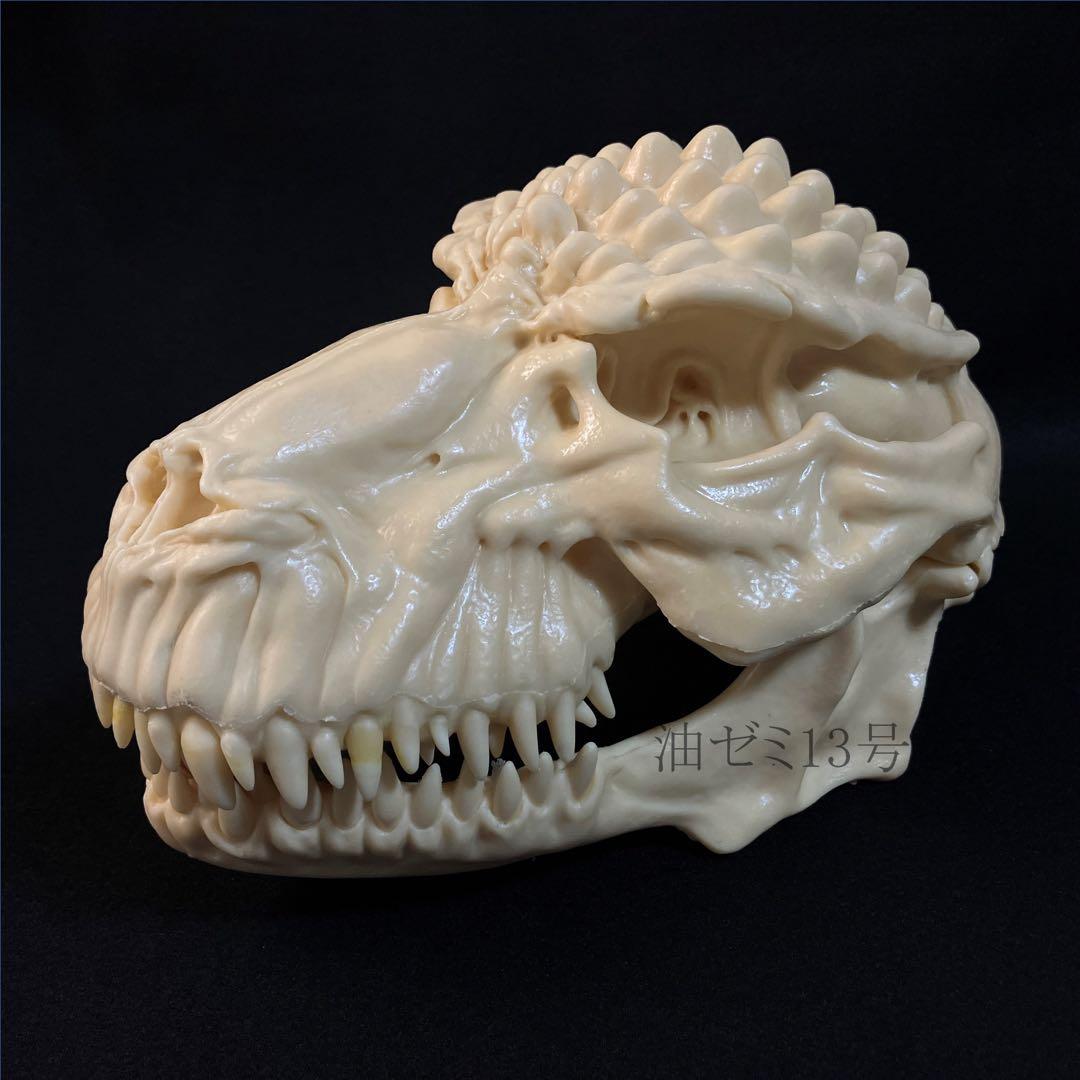 ゴジラスカル　Godzilla skull　ガレージキット　頭骨　頭蓋骨