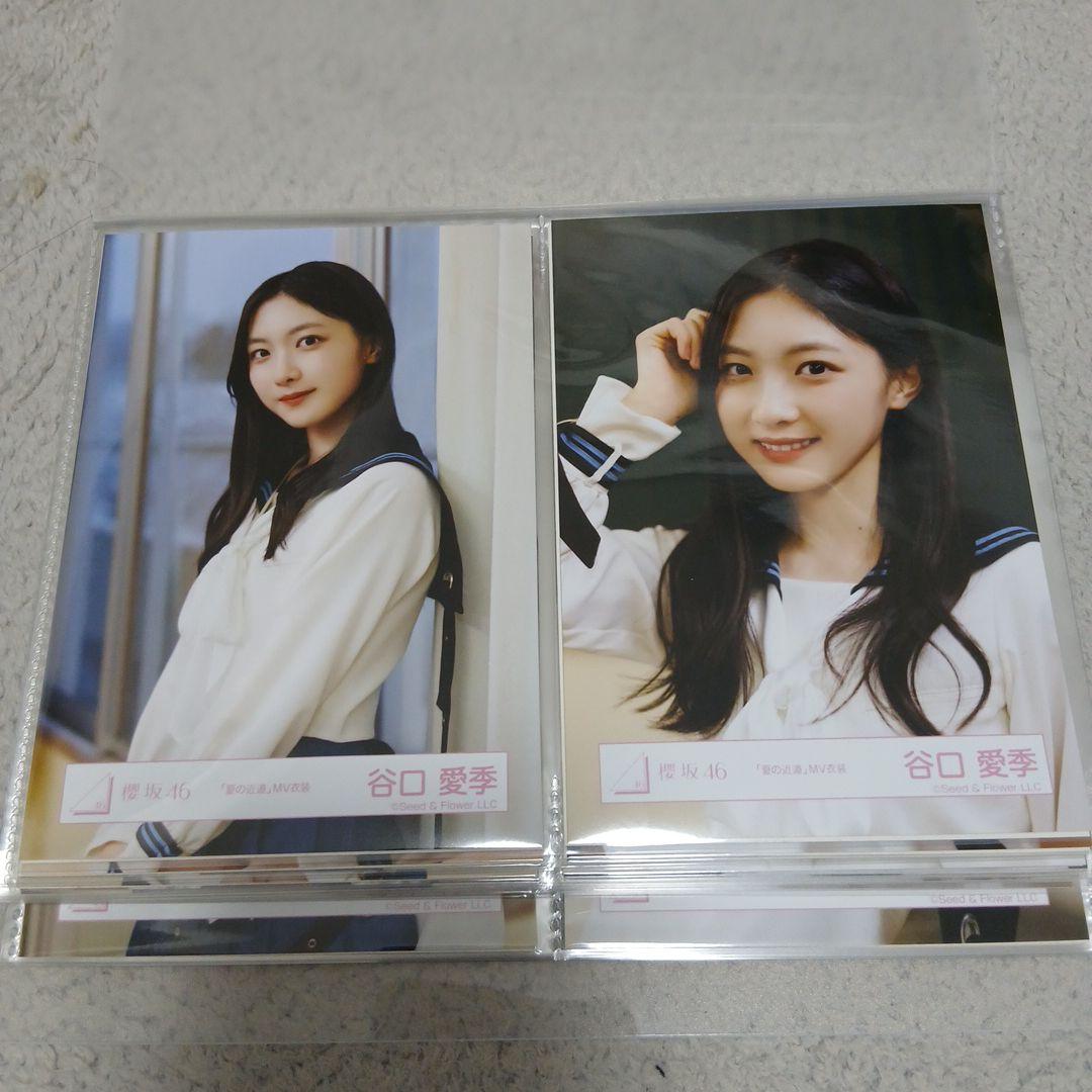 櫻坂46三期生 谷口愛季ほか「夏の近道」 生写真4枚セット11名分