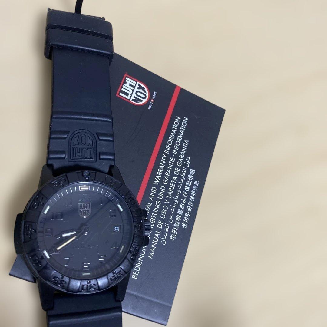 LUMINOX ルミノックス　0300-1GBq 稼働中。