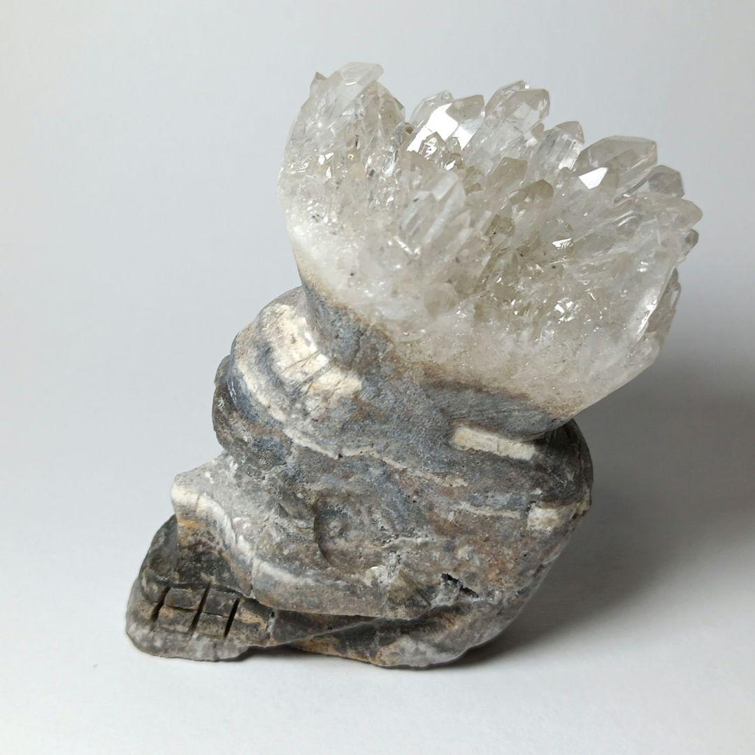 天然素材牙彫刻ひようたん根付けシルクの紐付き＊＊＊ △本象牙環9g