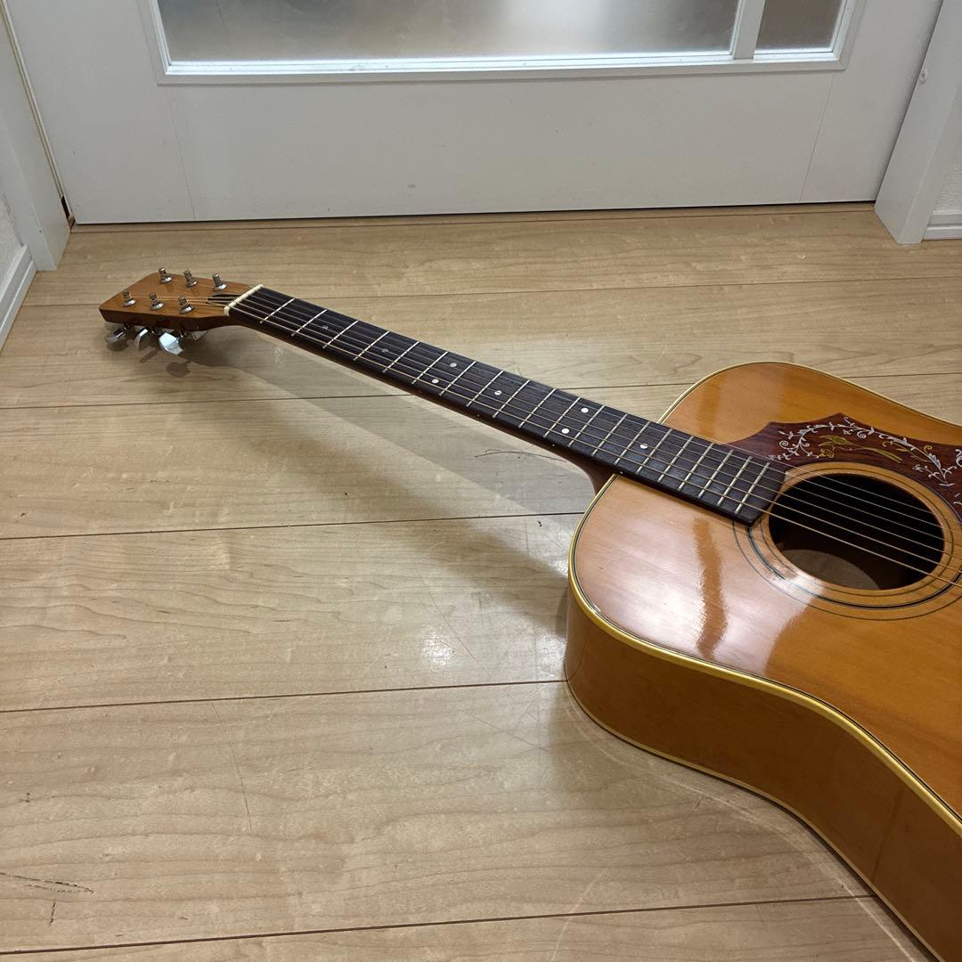 激レア ZENON 全音 アコースティックギター ハミングバードタイプ
