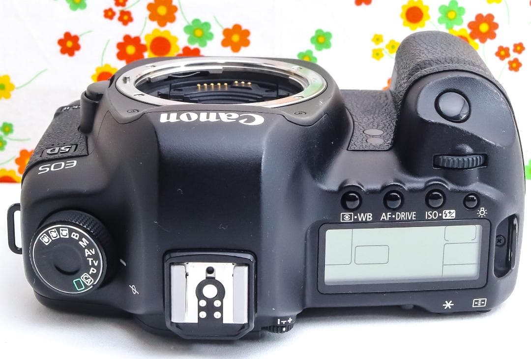 プク丸様専用 Canon 5D MarkII☆ダブルレンズ！☆スマホに転送！