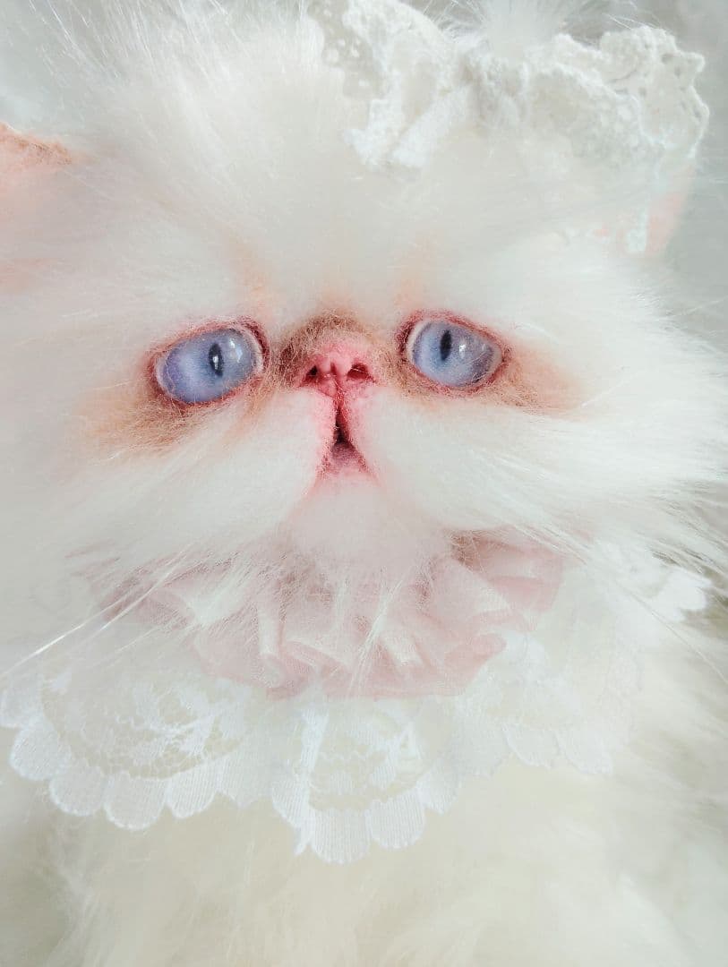 生後1か月♡エキゾチックロングヘア♡子猫ちゃん♡アートドール