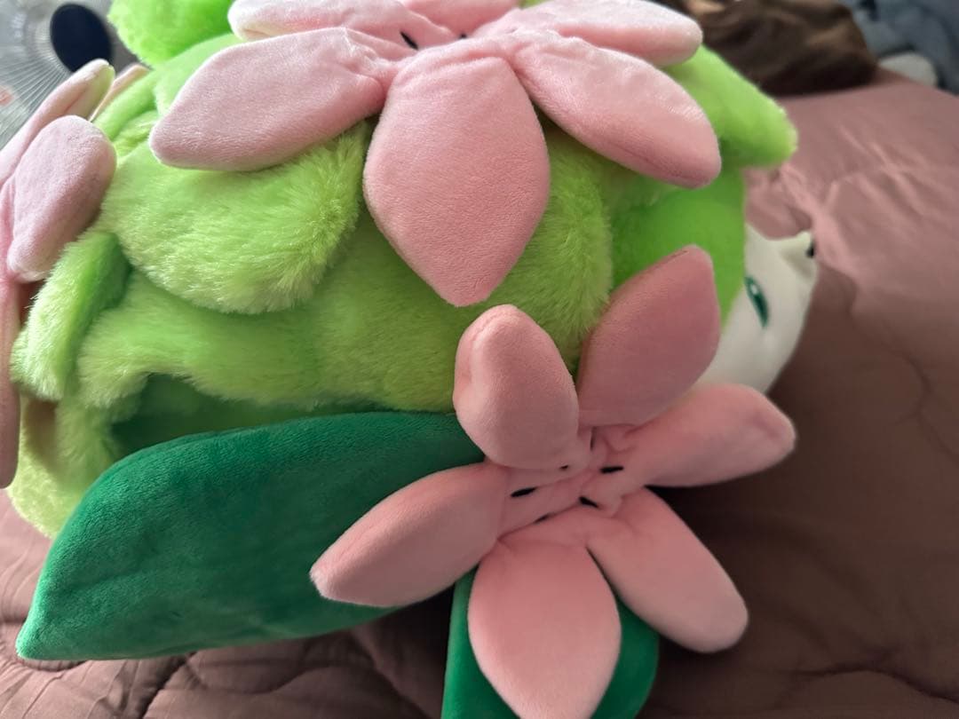 たしページ•*¨*•.¸♬︎