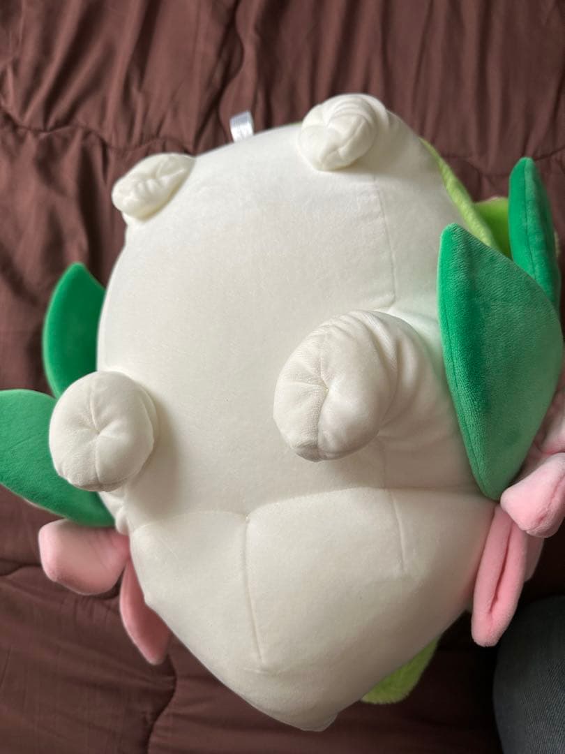 たしページ•*¨*•.¸♬︎