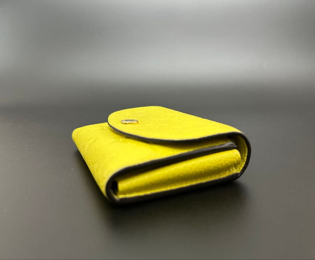 ⭐︎本日発送⭐︎【美品】ルイヴィトン ポルトモネロザリ財布ケース ICチップ