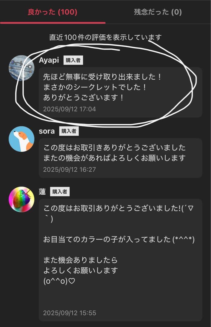 【正規品・未開封】Labubu Big into Energy 1箱