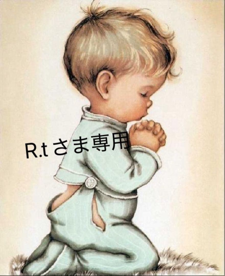 Petaboo Levante400 ペット用ドライヤー - メルカリ