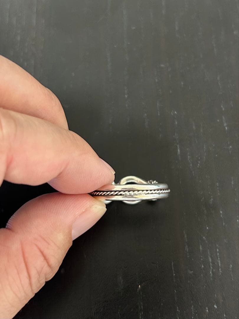 スティーブアルビソ　ホースウィスパラーリング　27号