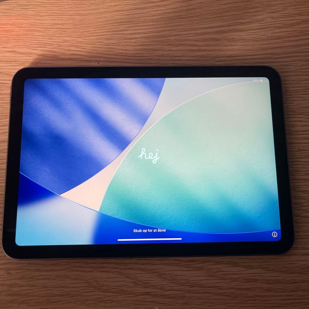 iPad mini 第6世代 256GB スペースグレー ケース付き　本体 ipadmini 第6世代 256gb スペースグレイ wifiモデル iPad mini (第6