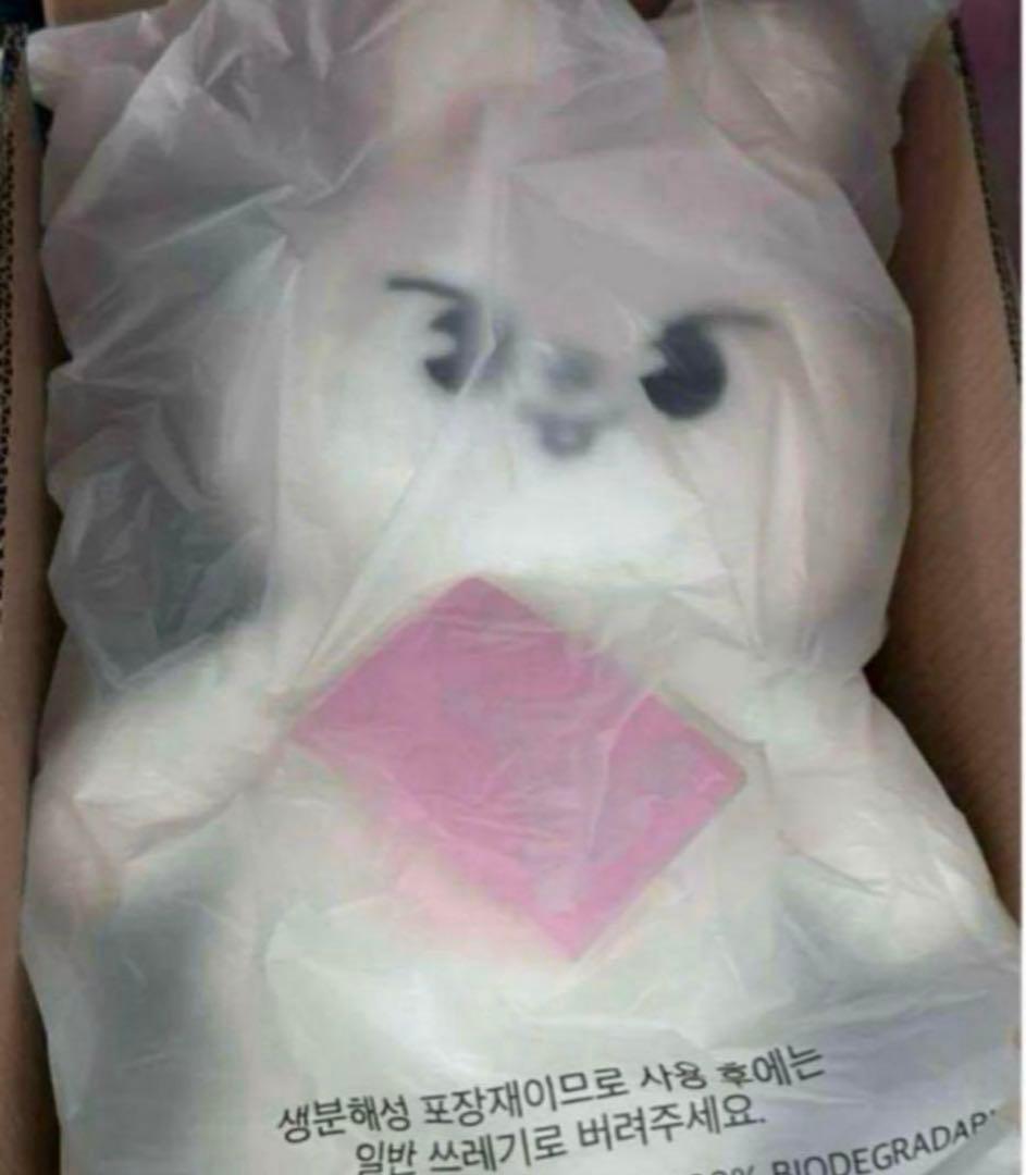 StrayKids リノ テディベア 5'clock リービット SKZOO StrayKids SKZOO