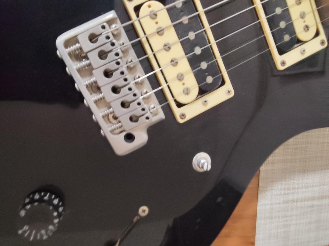 PRS SE Custom 24 Black（2012年製）