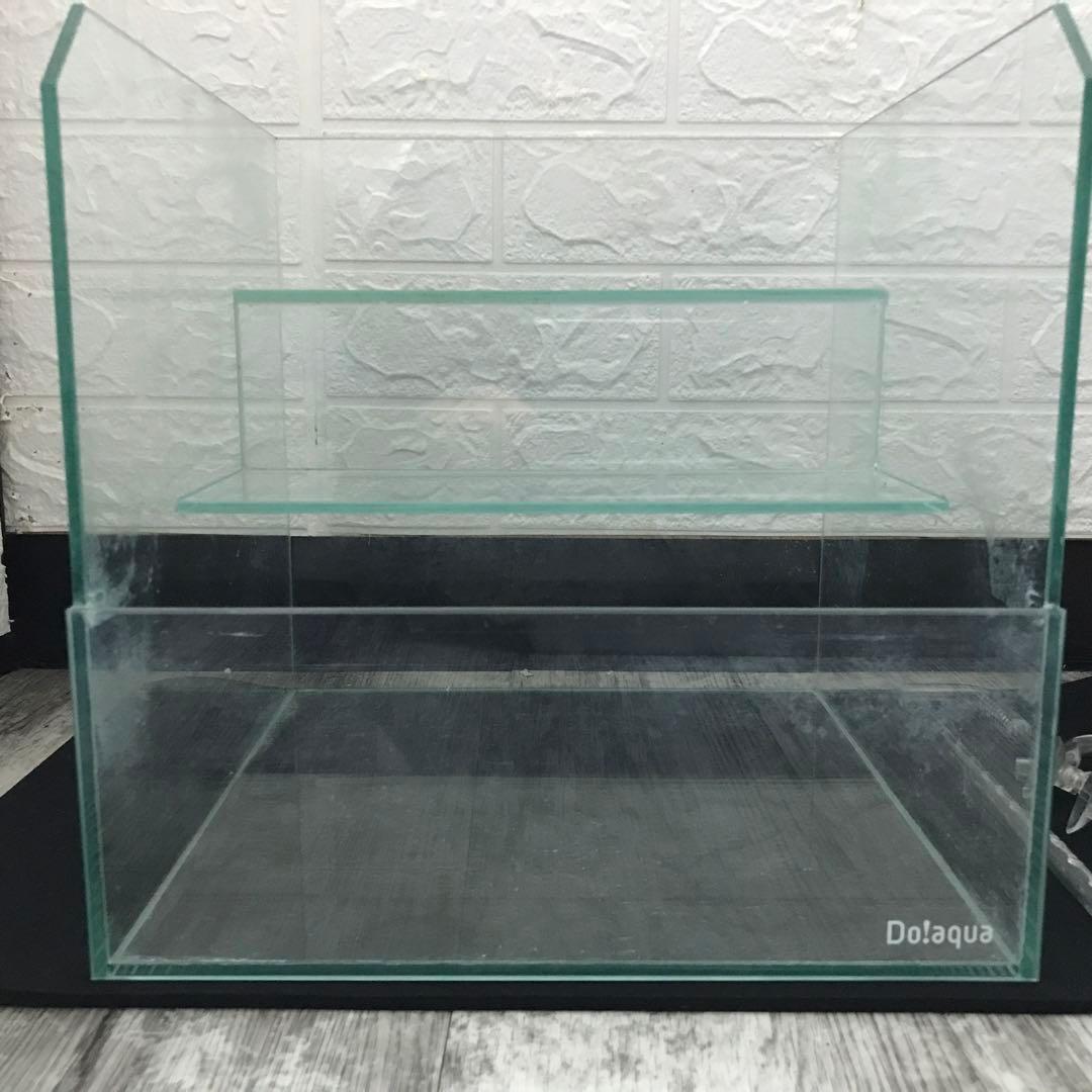 ADA ウォーターフォール30 ADA ウォーターフォール30 T*様 Do!aqua ADA