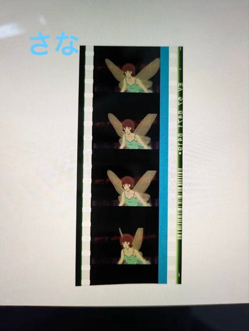 d*5様 【購入意思ある方のみいいねください‼️】パプリカ生フィルム2枚セット