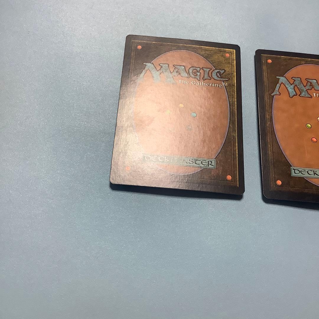 *バラ売り可*  神聖なる泉　 DIS日本語2枚セット