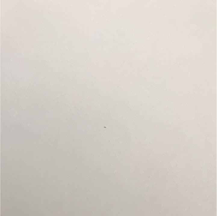 僕のヒーローアカデミア ブックカバー