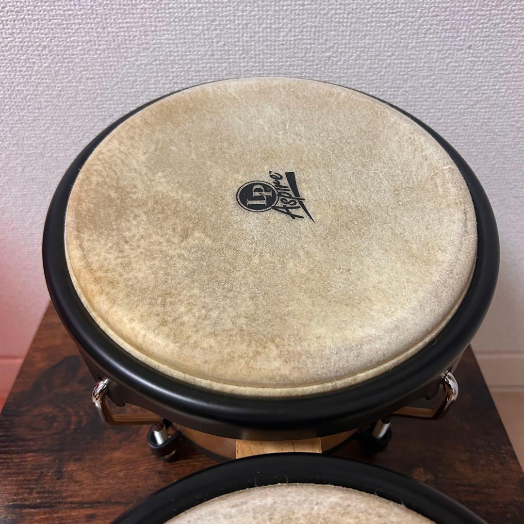 パ*オ様 LP Aspire ボンゴ 太鼓 パーカッション 付属品付きの通販