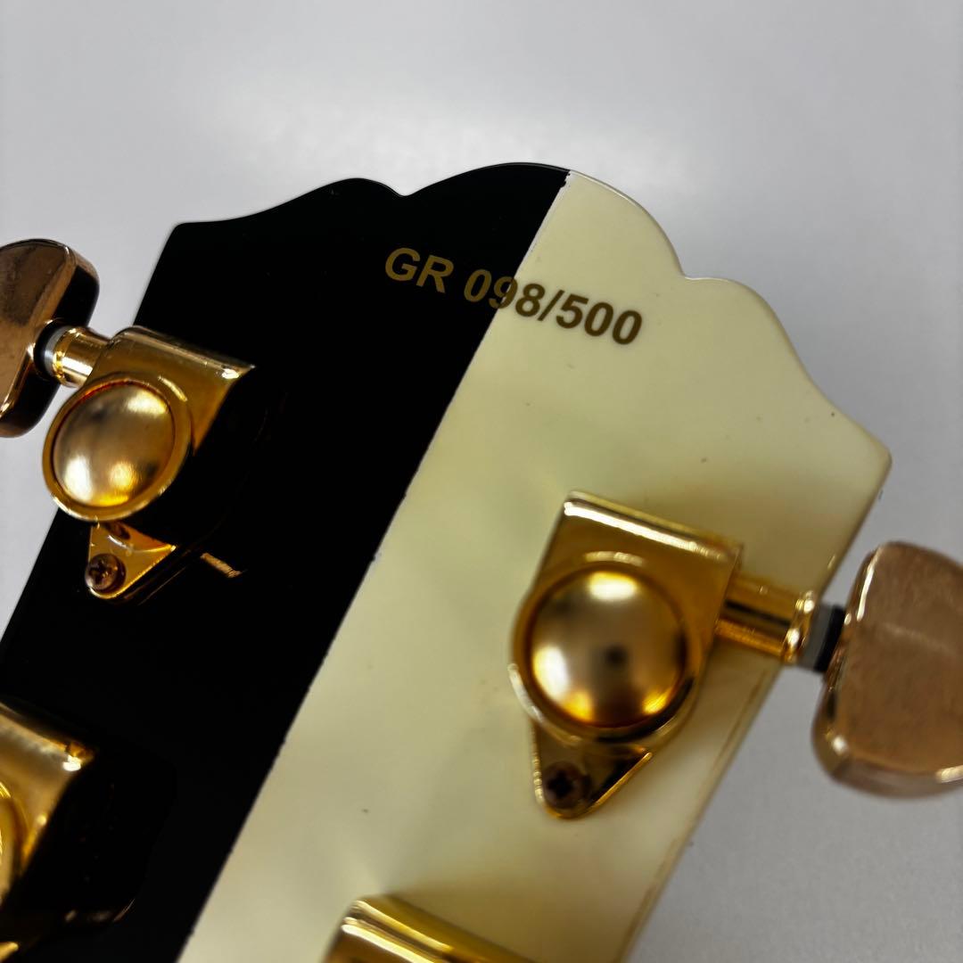 500本限定/レア美品★ GReeeeN Naviモデル　レスポール　ケース付属