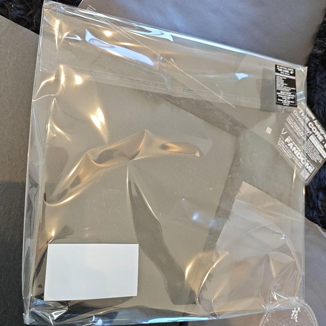 XG THE CORE 核 VINYL シリアル無 フォト ケース等