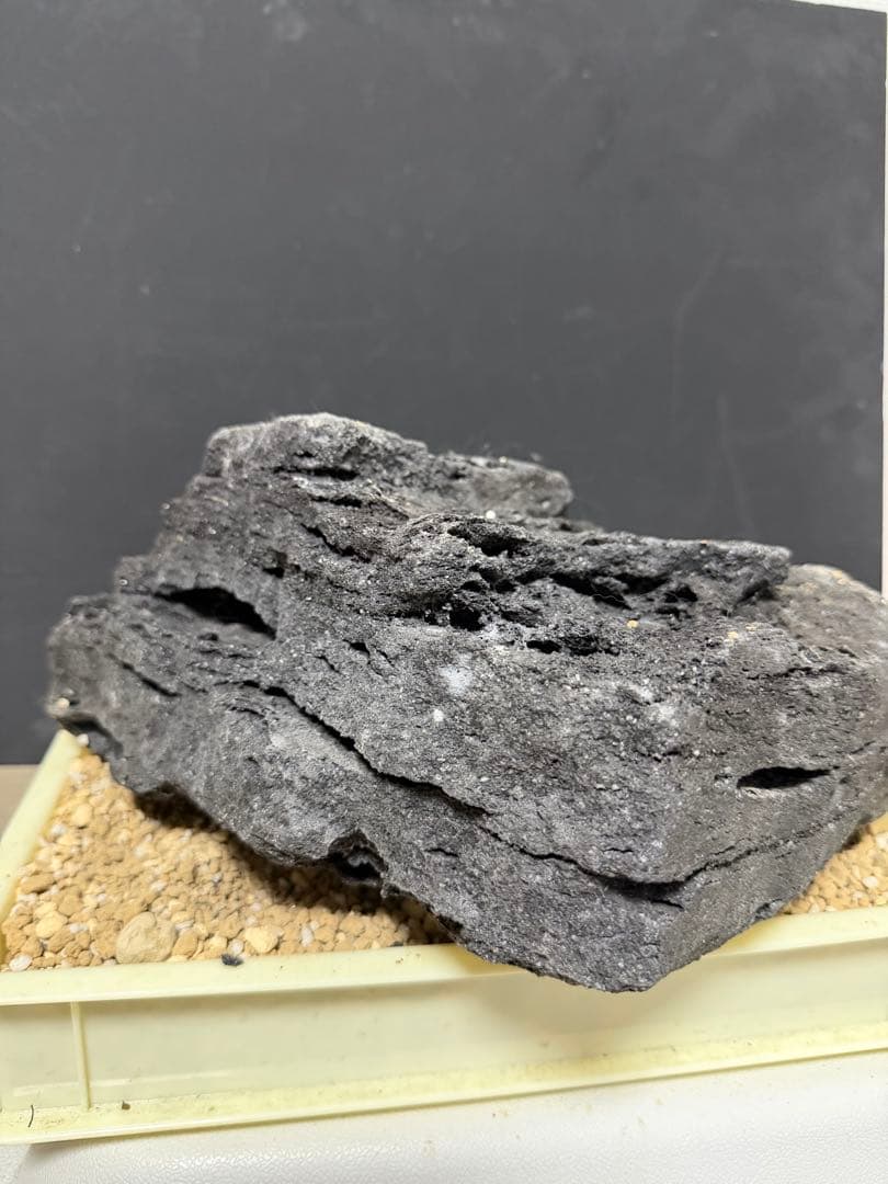 ⑧ADA山水石 組合せ！オススメ！ 山水石 セット ADA アクアリウム ADA