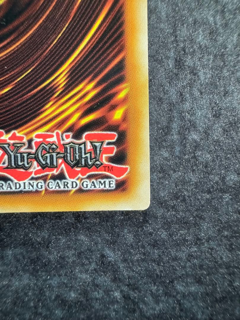 遊戯王 清冽の水霊使いエリア スターライト イタリア語