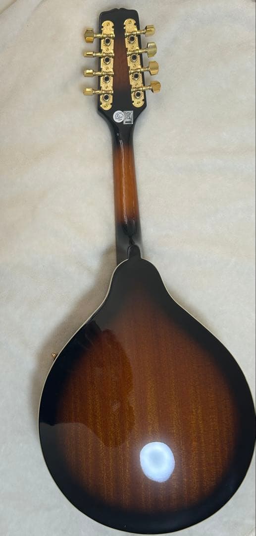 Epiphone マンドリン　マカボニー