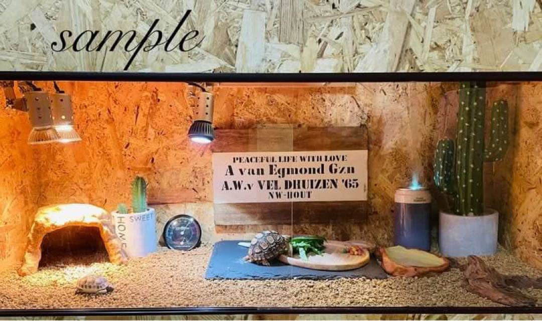 爬虫類ケージ 木製ケージ フトアゴ ハリネズミ プロフ必読 フルオプ送料込