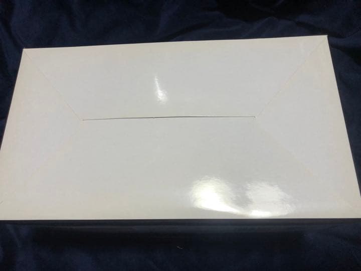 鋼密度模型 タルガ 1/48 タイガー1の2種セット