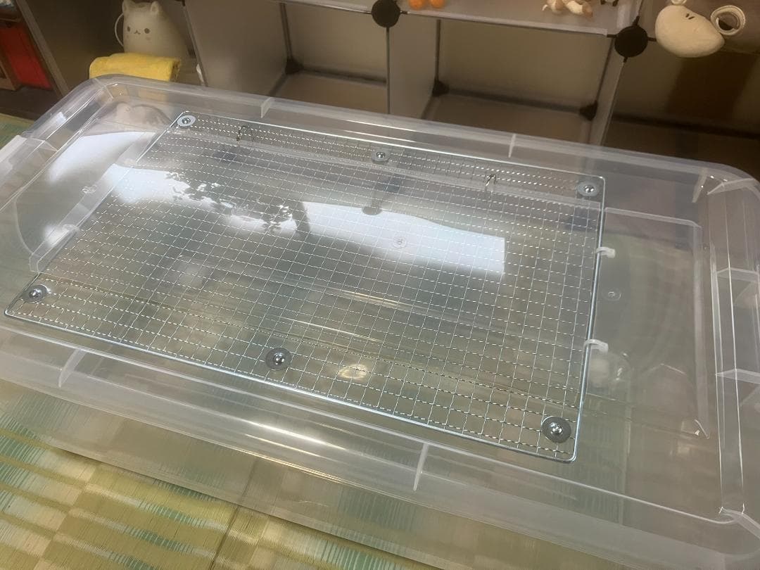 よしちゃん様専用3個セット ⑦広い大きいカブトムシ用飼育ケース【DIY