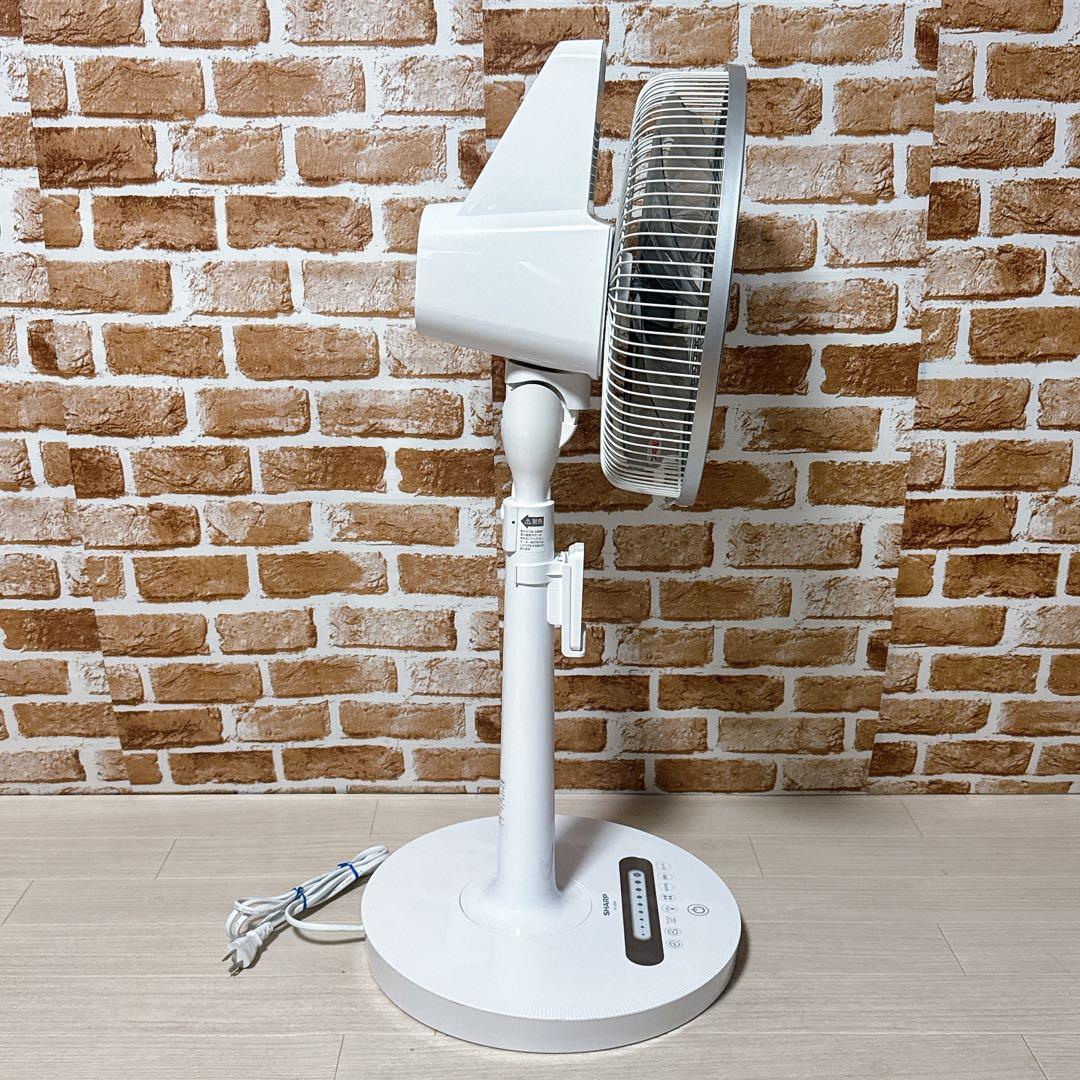 SHARP リビングファン PJ-J3DG プラズマクラスター　扇風機　シャープ