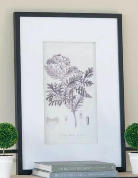 額絵 植物 アートフレーム 4枚セット ボタニカル ナチュラル AN-43782