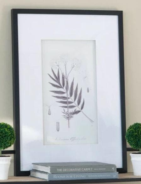 額絵 植物 アートフレーム 4枚セット ボタニカル ナチュラル AN-43782