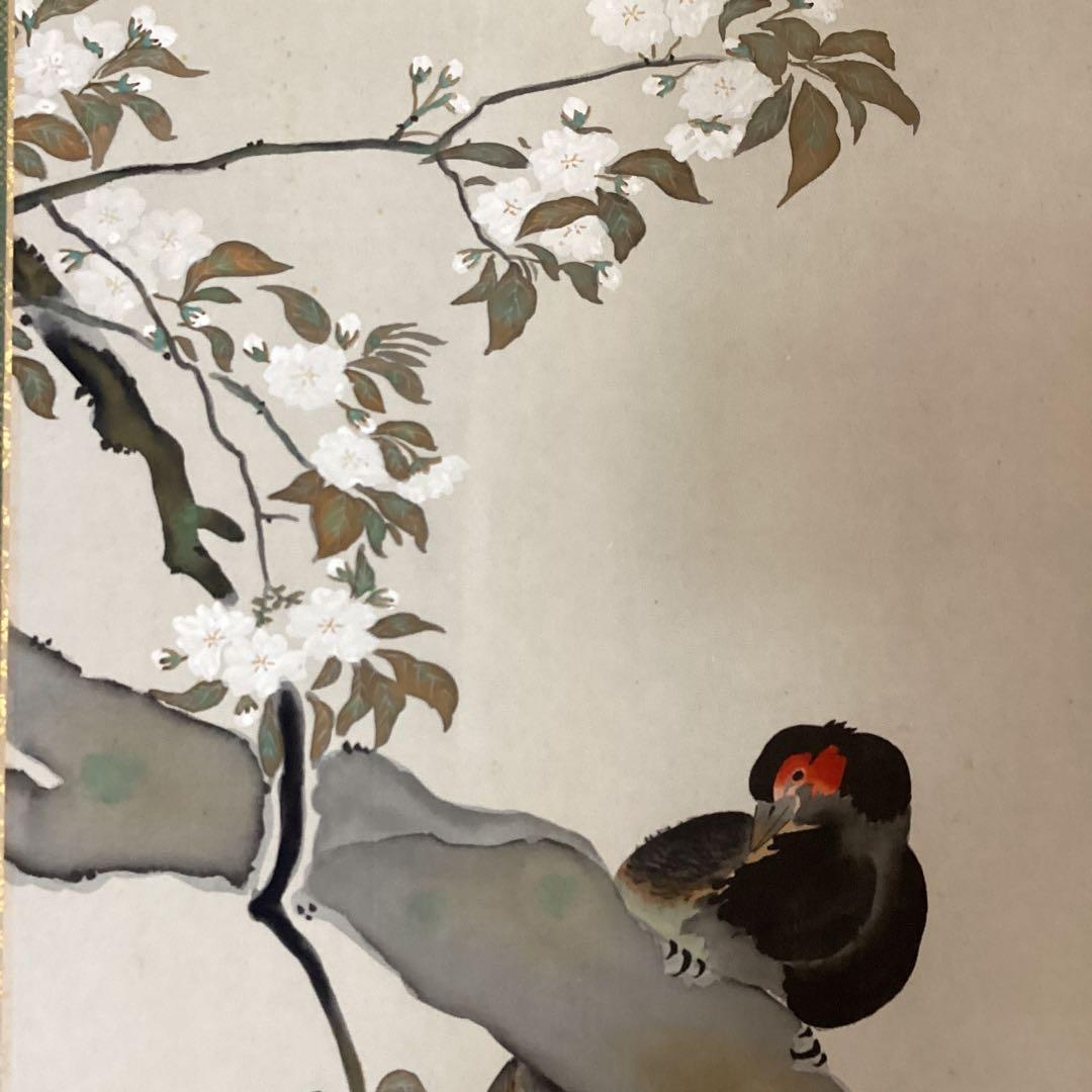 酒井抱一　【後描彩色画】　【櫻に雉子之図】　絹本掛軸　　軸先紫檀　稀有作品です。
