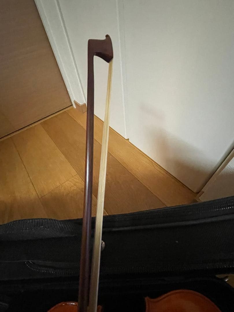 Eastman SVL80セット 4/4 バイオリン