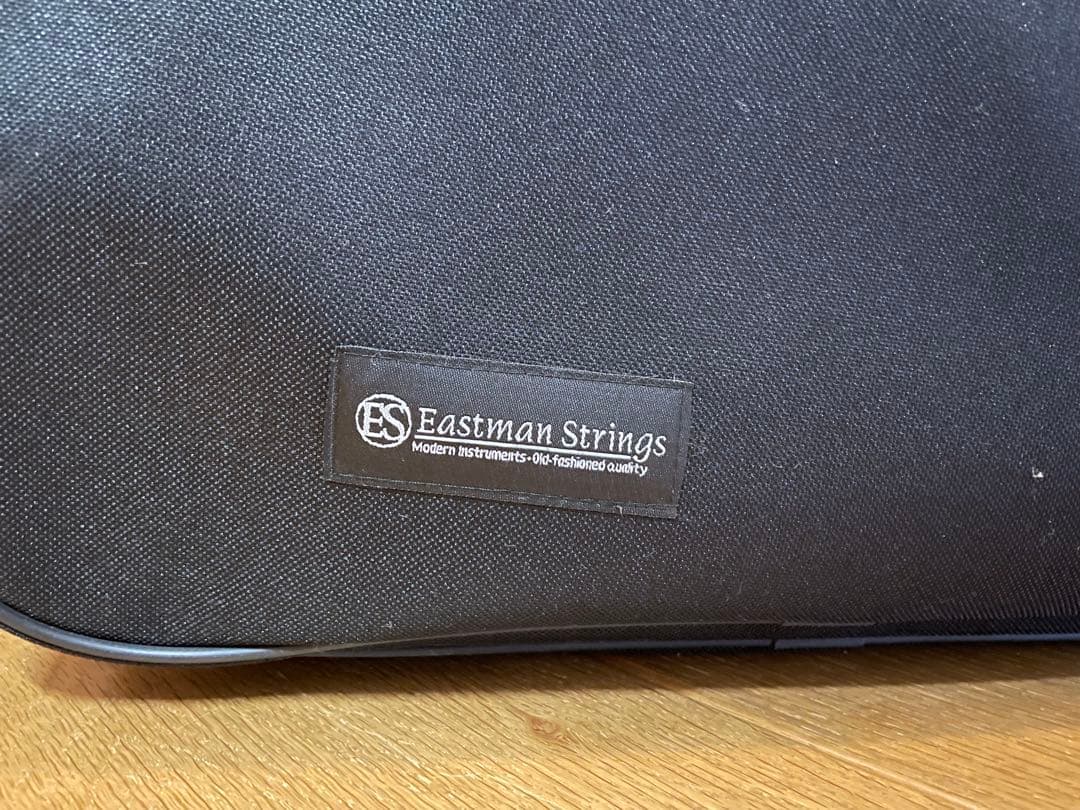 Eastman SVL80セット 4/4 バイオリン