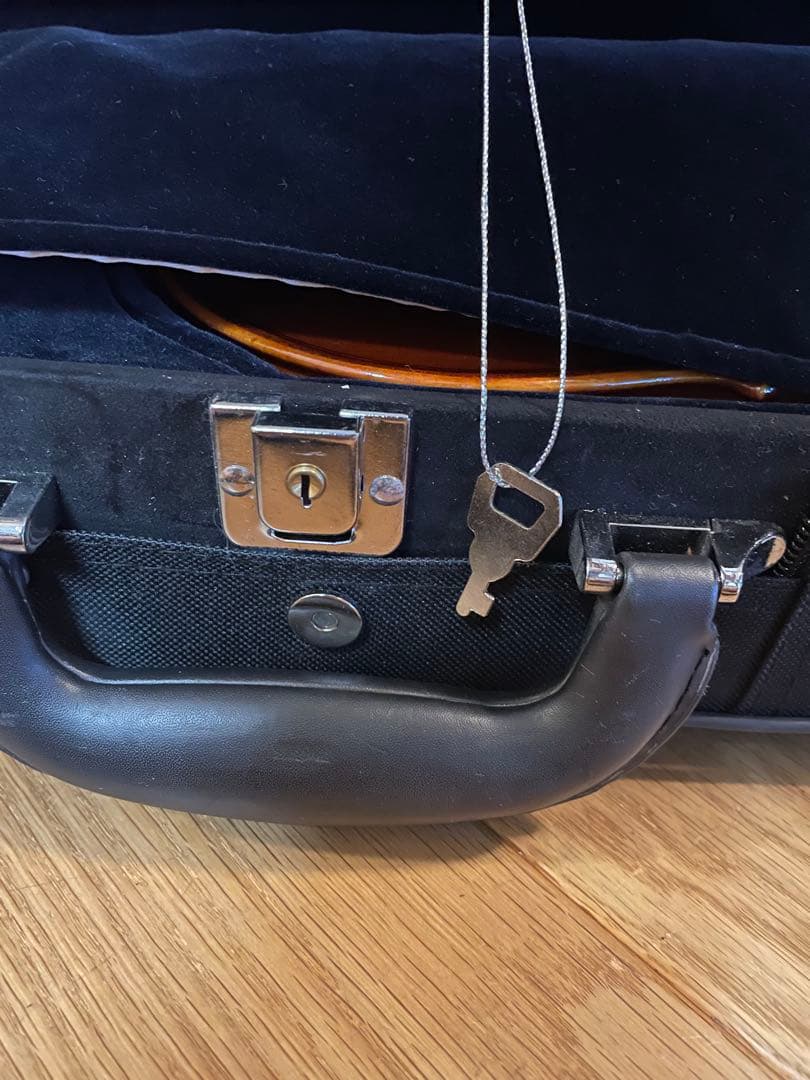 Eastman SVL80セット 4/4 バイオリン