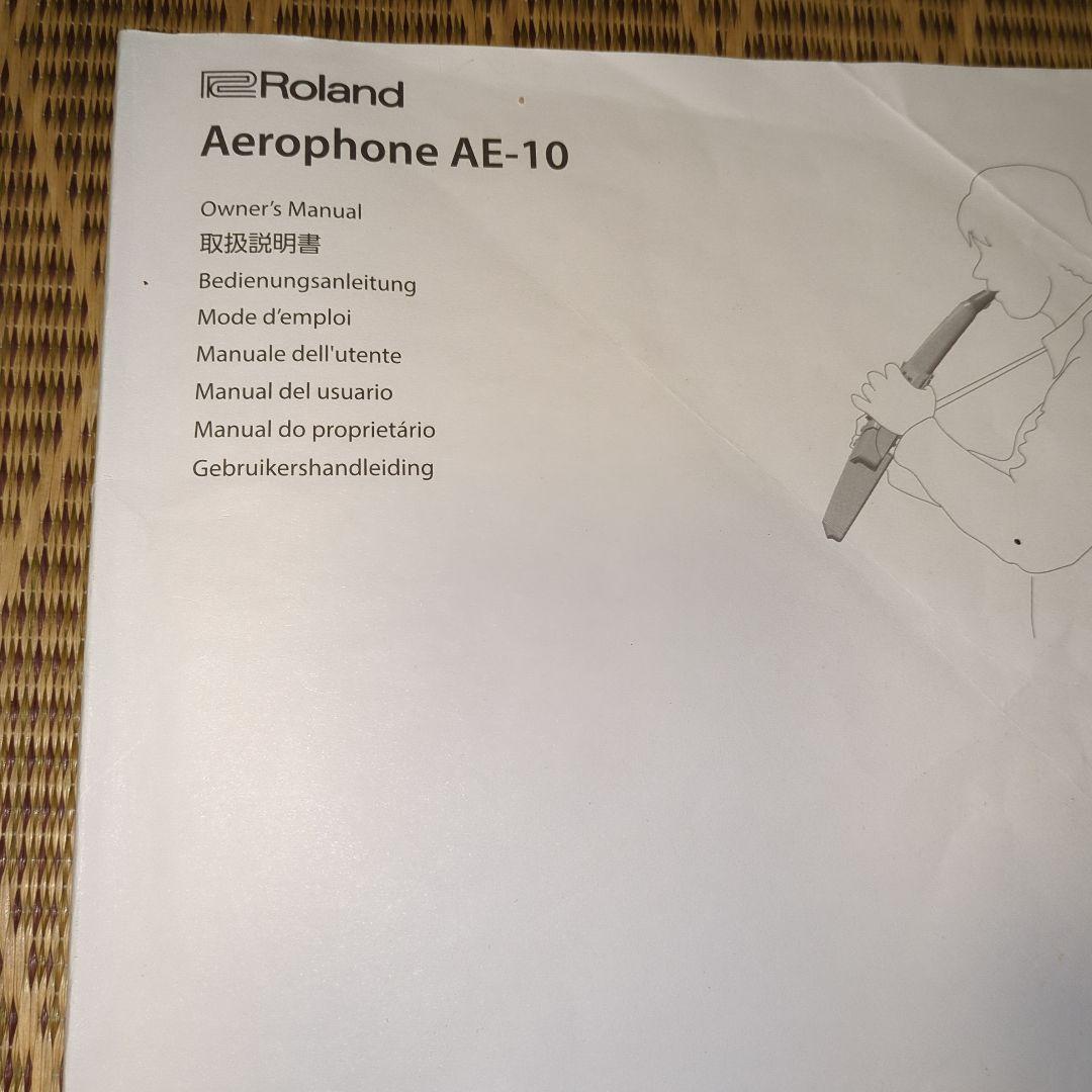 ローランド　エアロフォン AE-10