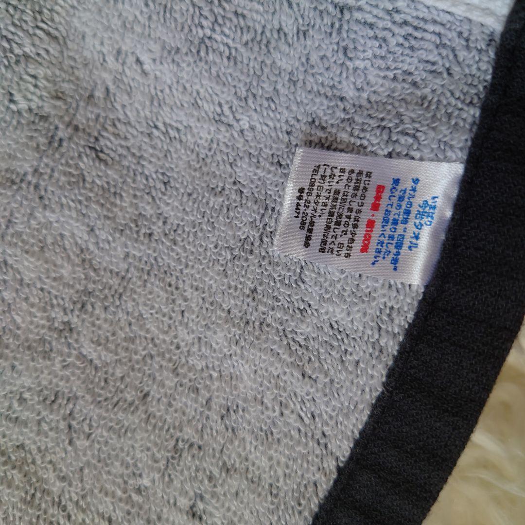 【希少】 タオル ハルカミライ