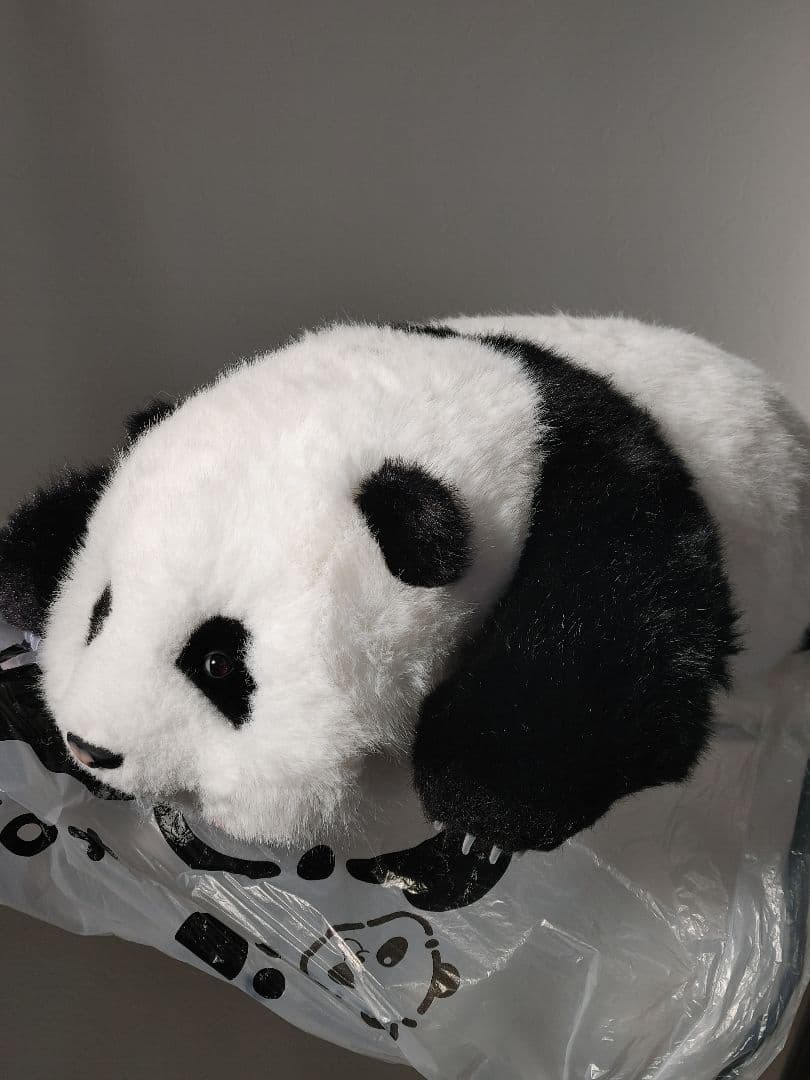 パンダ和花/花花/ホーファ、ファーファー/リアルぬいぐるみ/大熊猫